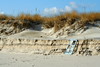 Cupsogue with Dan and the Dogs : A trip to Cupsogue Beach with Dan and the dogs.  The dogs remained on the leash the whole time.