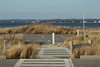 Pike's Beach, Christmas Day : 