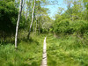 Terrell River County Park : 