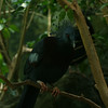 Allison Frost (queequeg) > Central Park Zoo photo
