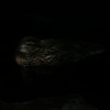Allison Frost (queequeg) > Central Park Zoo photo